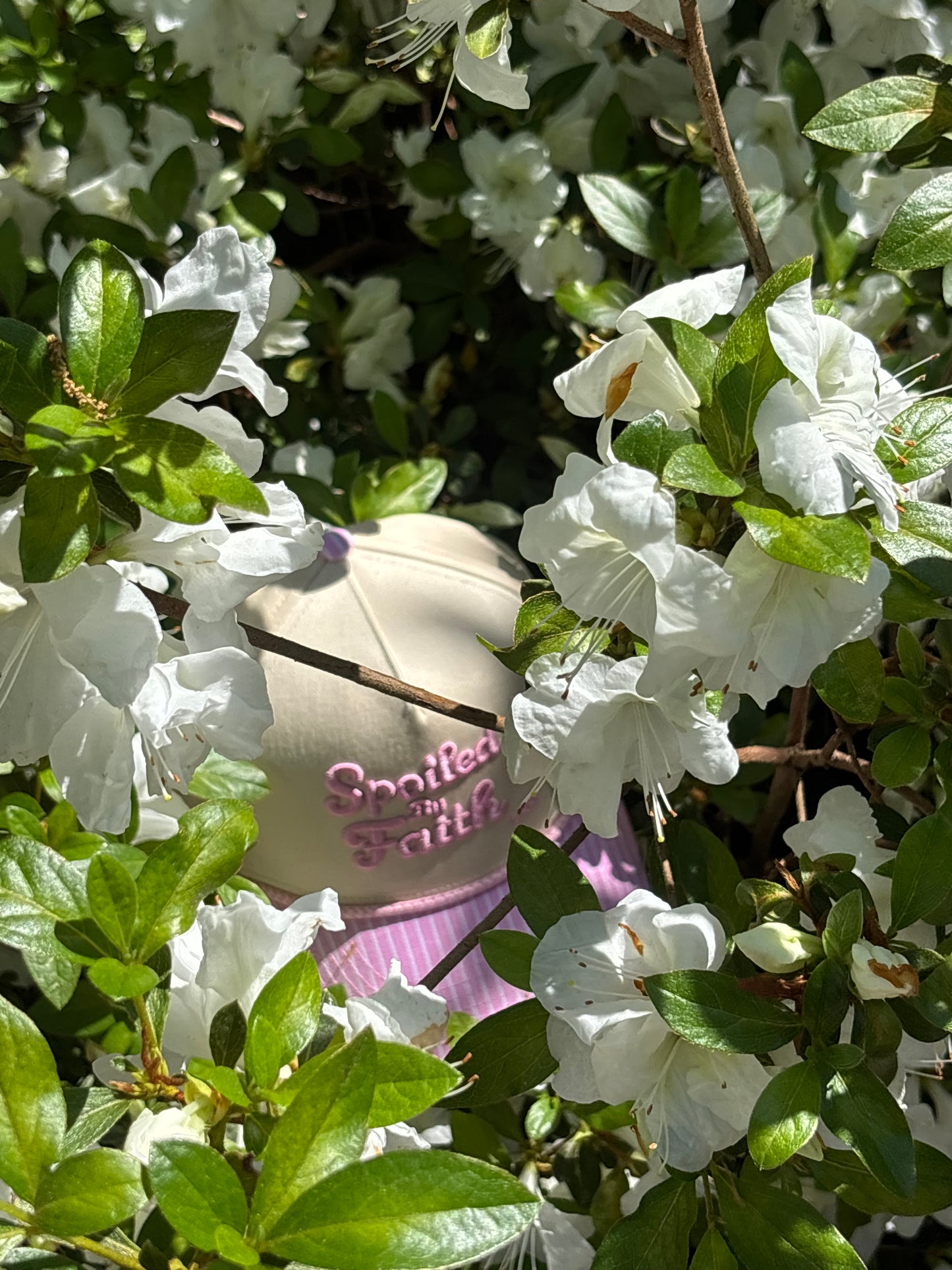 Spoiled by Faith Spring Edition